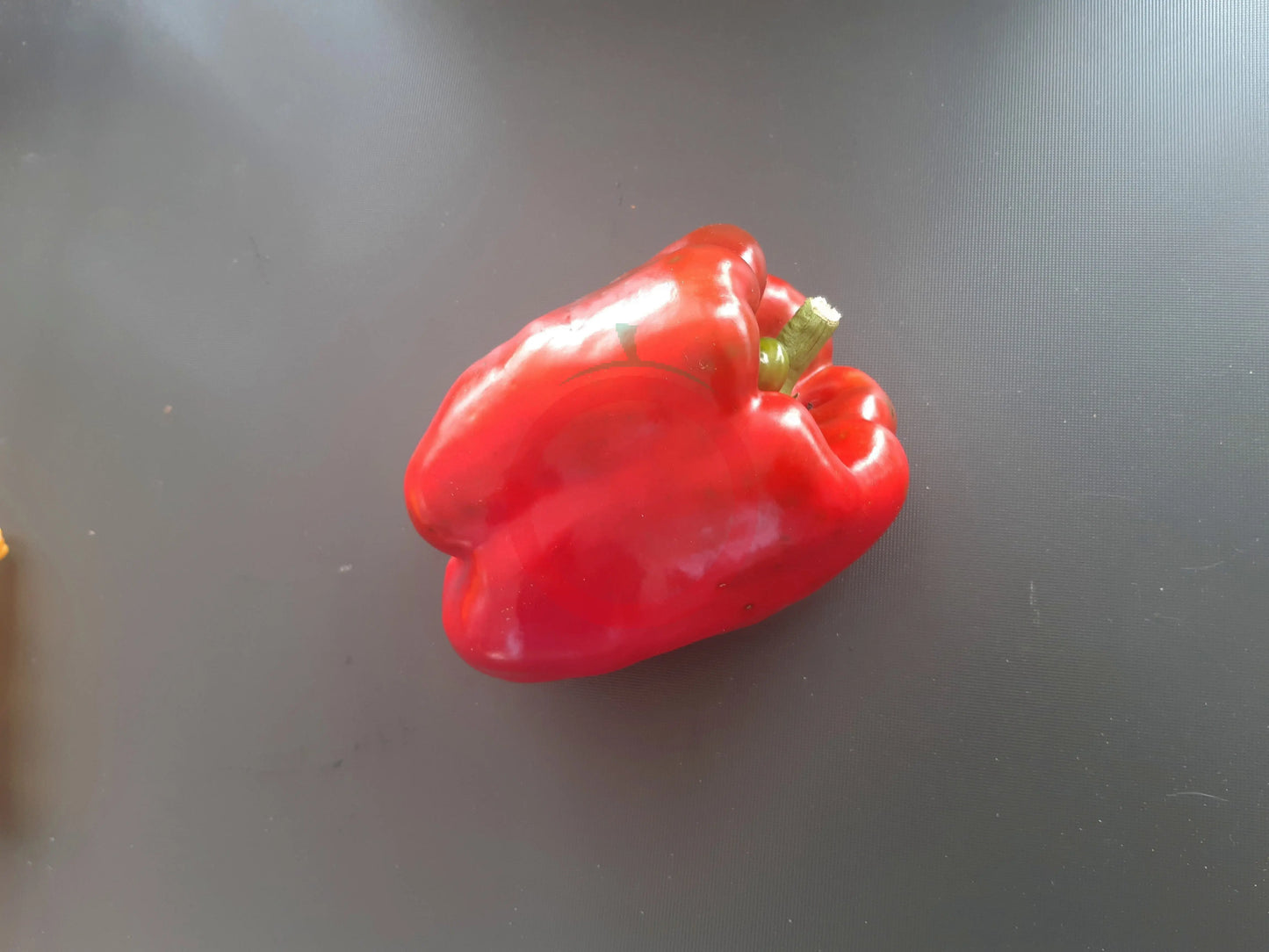 King of the North DER TOMATENFLÜSTERER