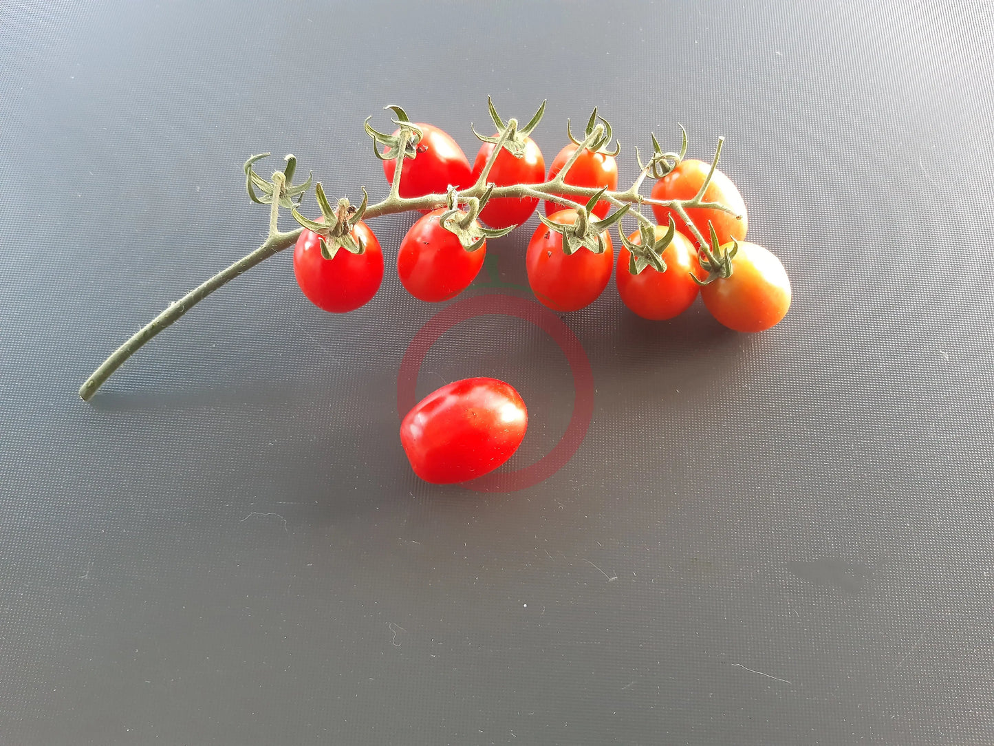 Komohana Grape DER TOMATENFLÜSTERER