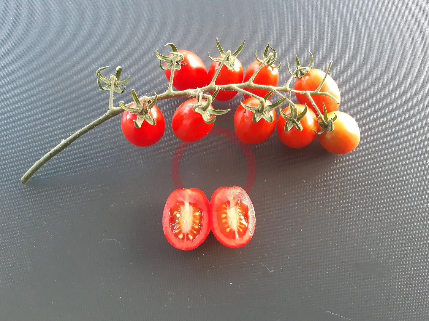 Komohana Grape DER TOMATENFLÜSTERER