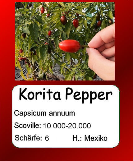 Korita Pepper DER TOMATENFLÜSTERER