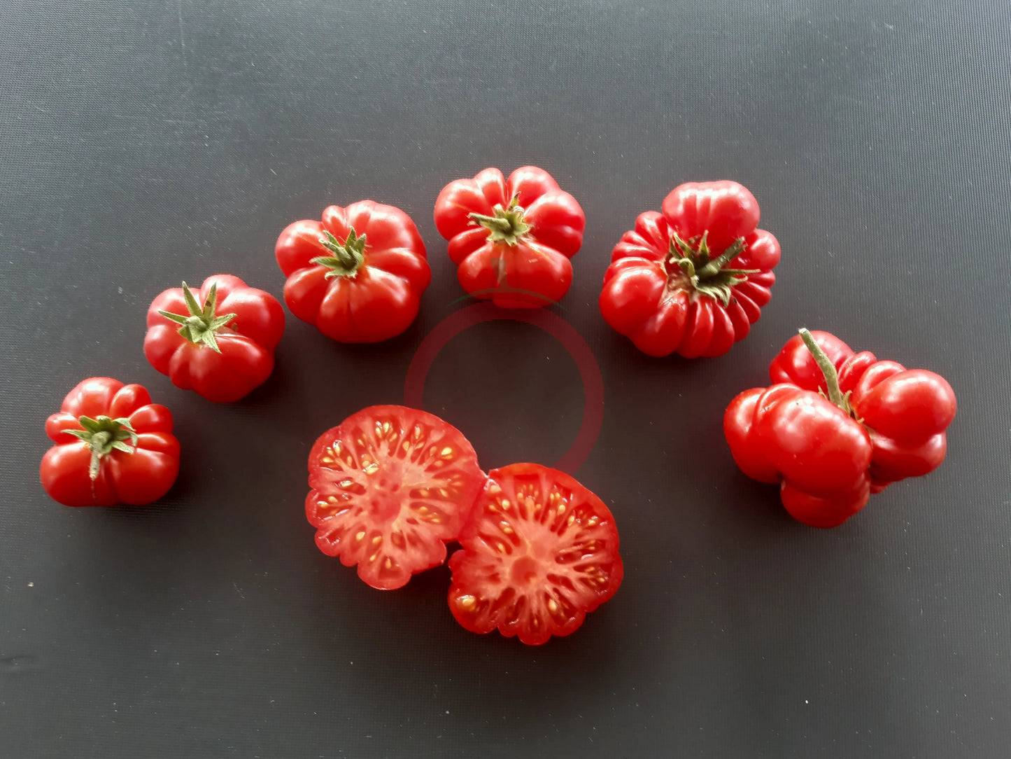 Korrogo DER TOMATENFLÜSTERER