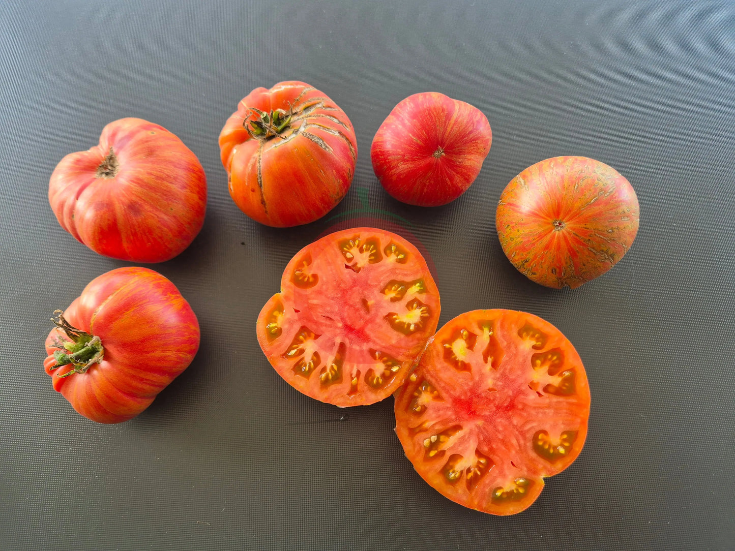 Kozula 138 DER TOMATENFLÜSTERER