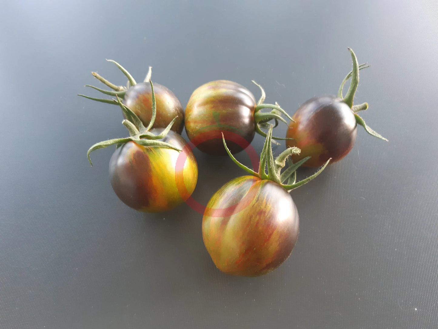 Large Brad´s Atomic Grape DER TOMATENFLÜSTERER