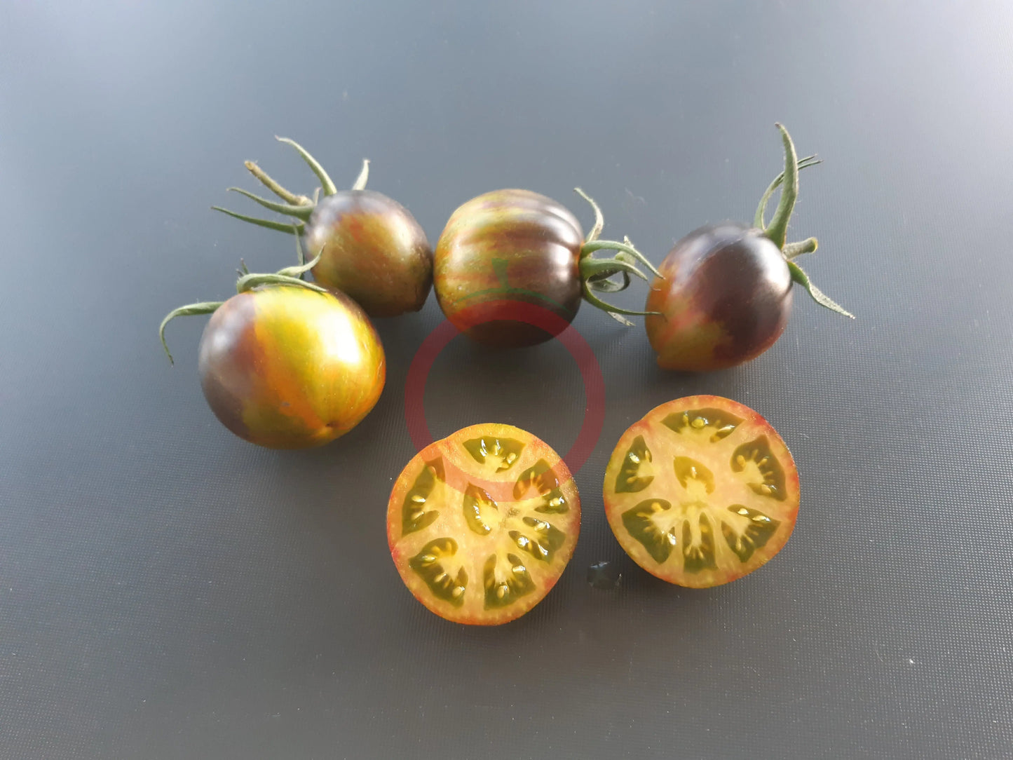 Large Brad´s Atomic Grape DER TOMATENFLÜSTERER