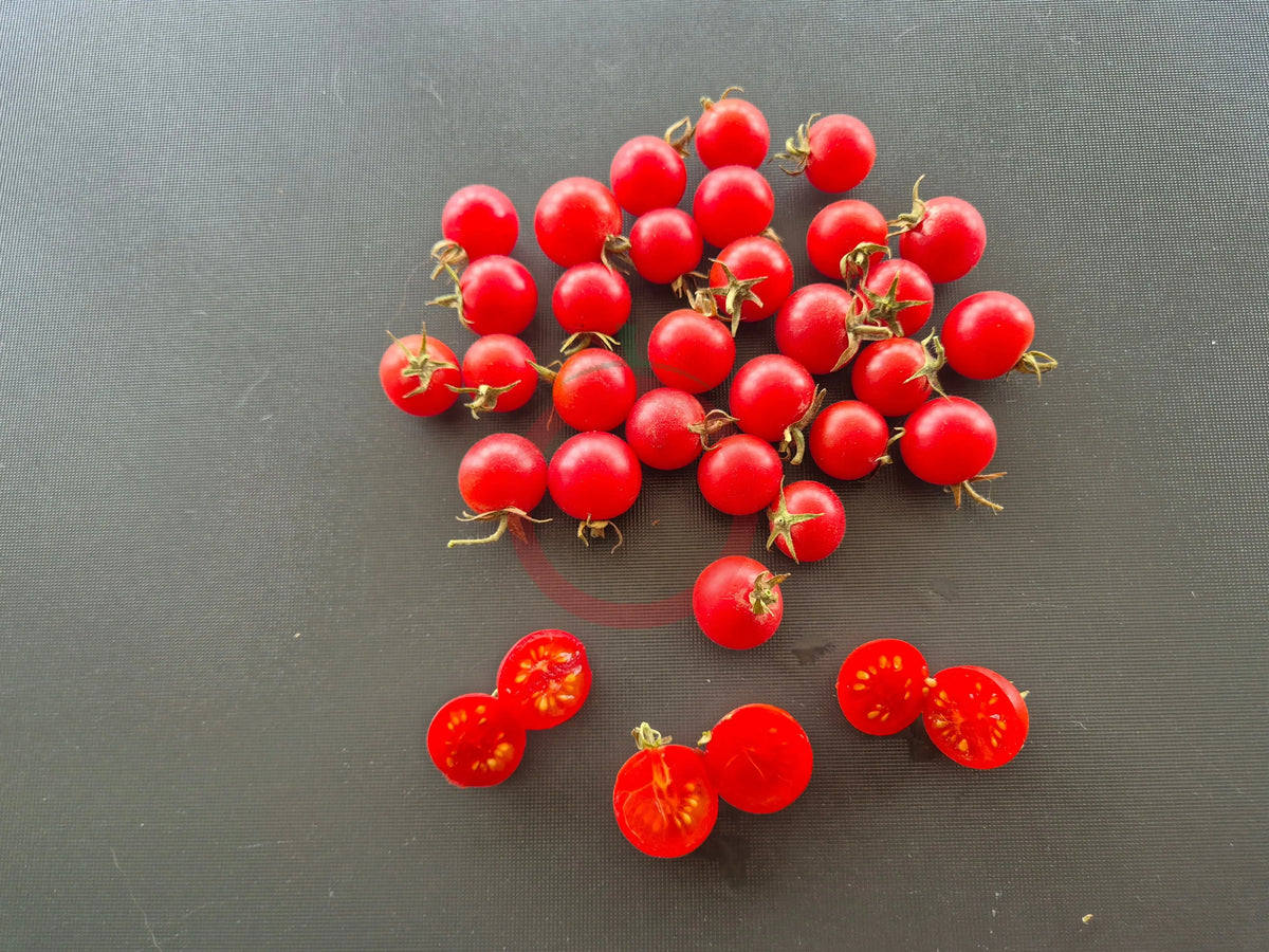 Lea von Annemarie DER TOMATENFLÜSTERER