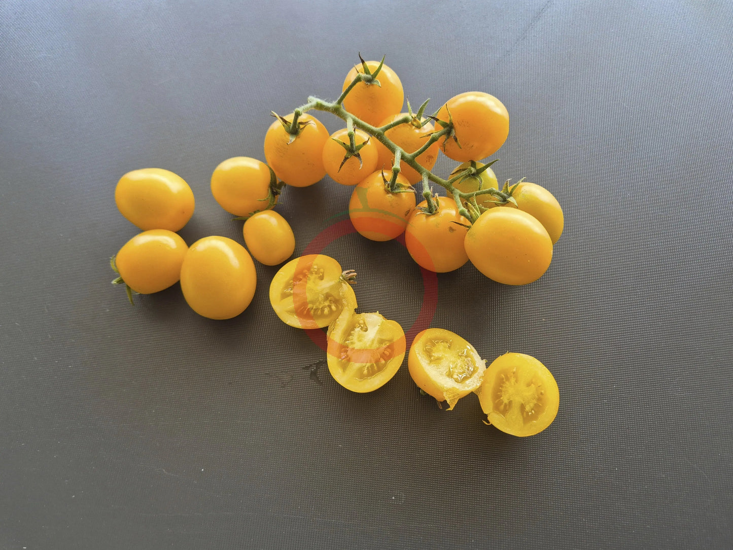 Letnee Solntse DER TOMATENFLÜSTERER