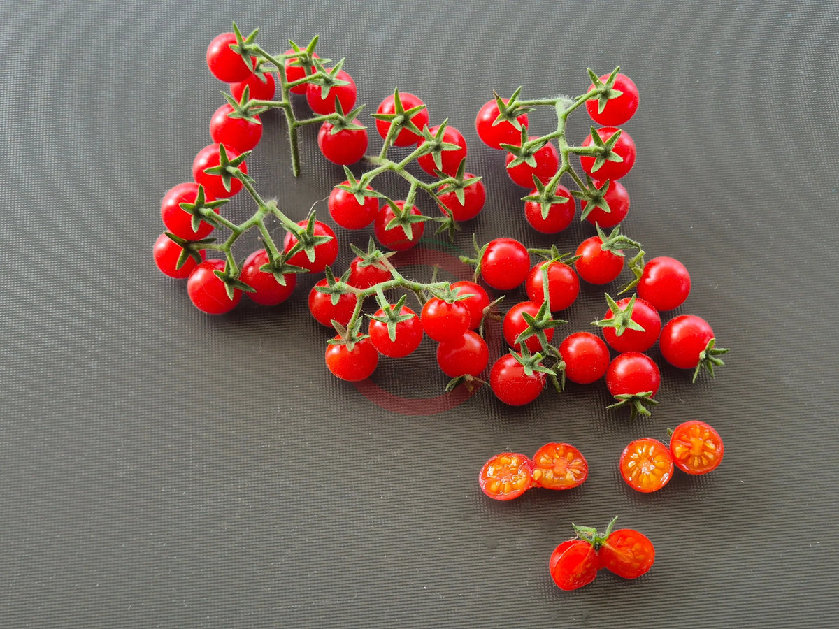 Little Julia DER TOMATENFLÜSTERER