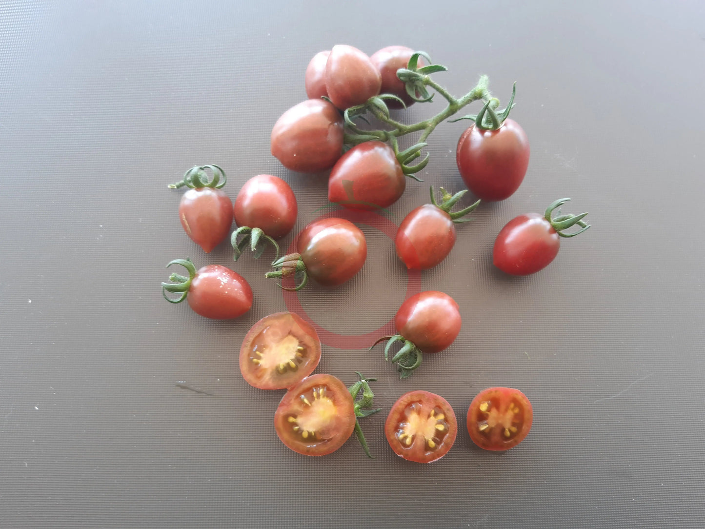 Little Purple Heart DER TOMATENFLÜSTERER