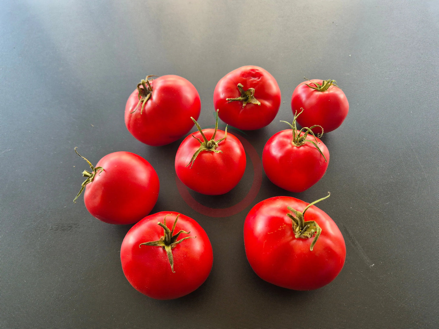 Livingston’s Gulf State Market DER TOMATENFLÜSTERER