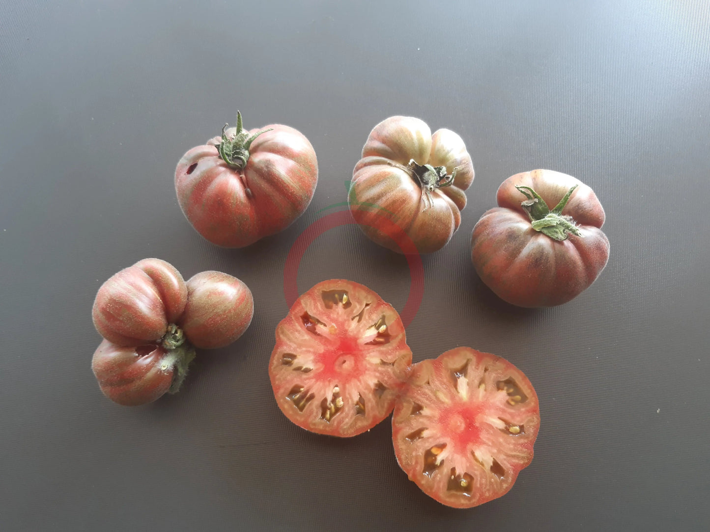 Loaghtan Woolies DER TOMATENFLÜSTERER