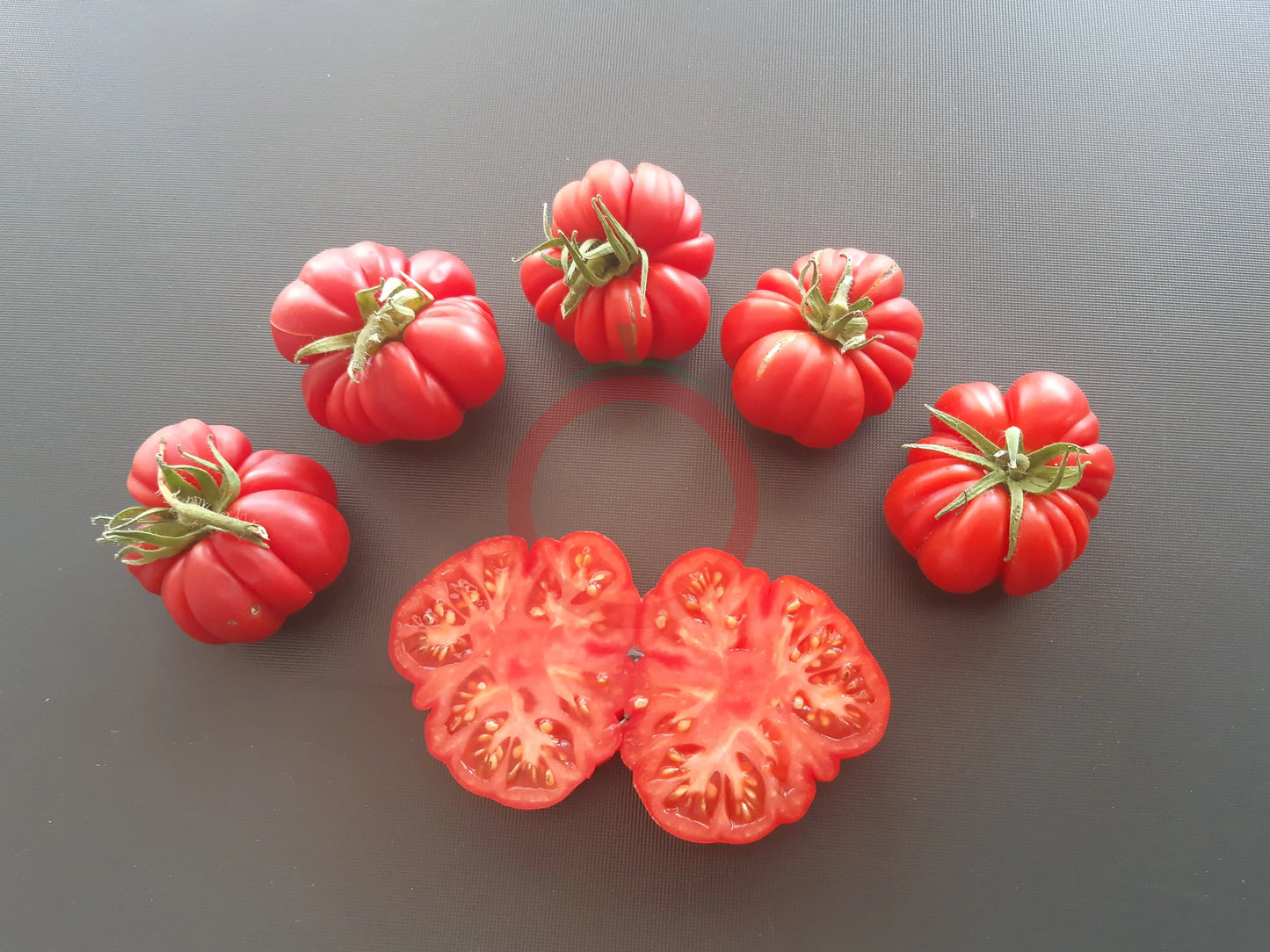 Loka DER TOMATENFLÜSTERER