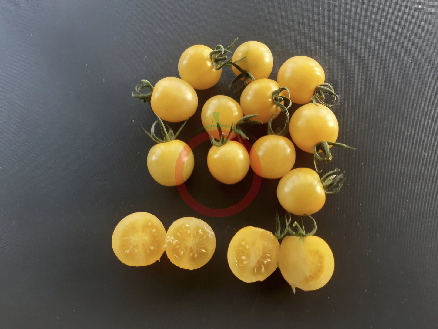 Lollipop DER TOMATENFLÜSTERER