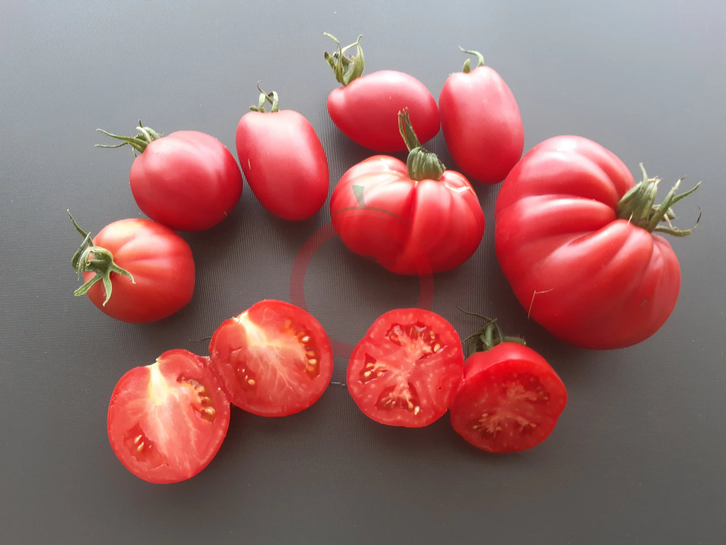 Löwenherz DER TOMATENFLÜSTERER