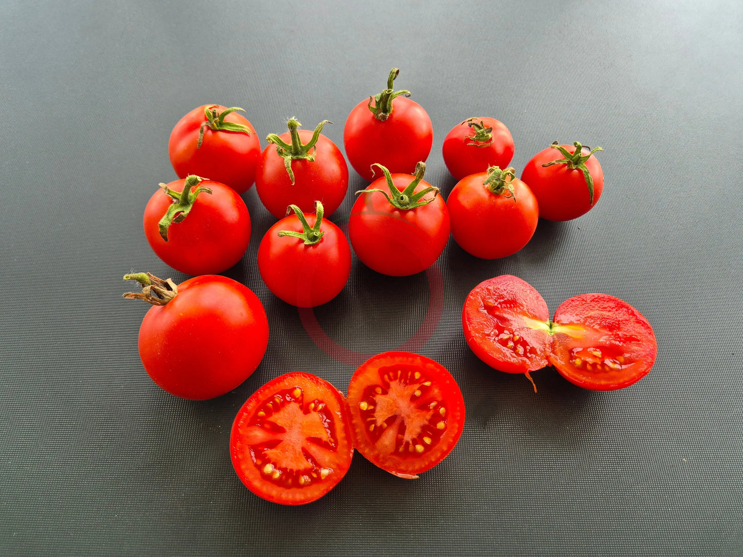 Lukullus DER TOMATENFLÜSTERER