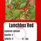 Lunchbox Red DER TOMATENFLÜSTERER