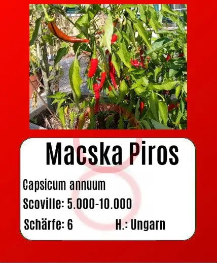 Macska Piros DER TOMATENFLÜSTERER