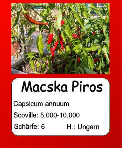 Macska Piros DER TOMATENFLÜSTERER