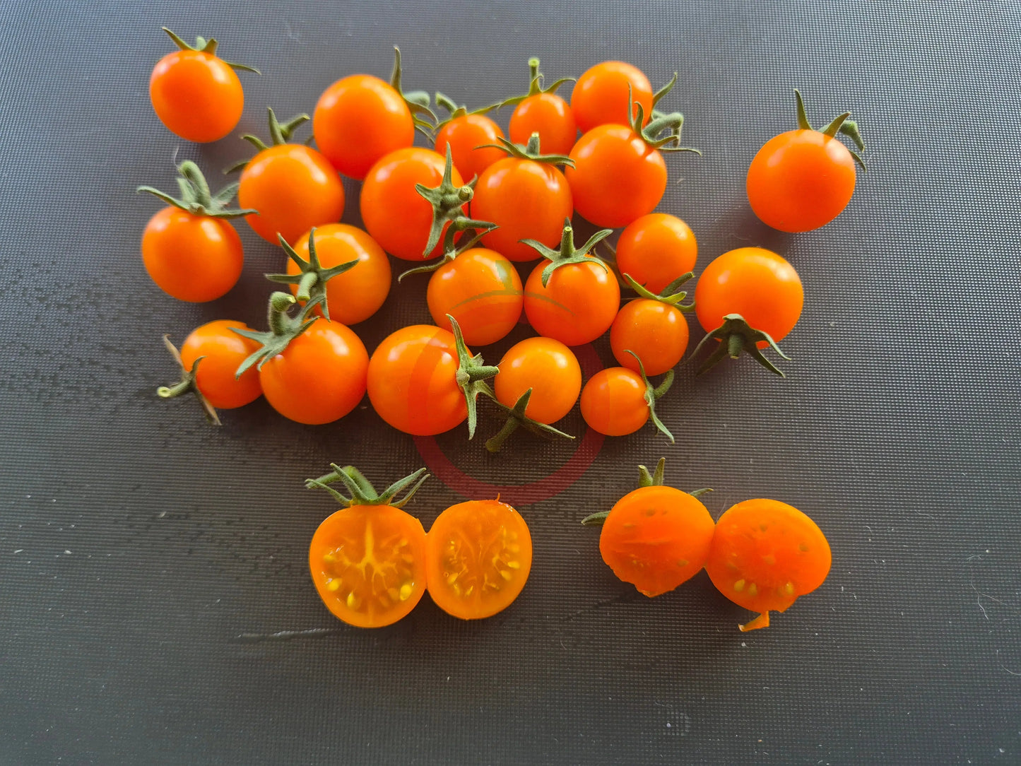 Maddelines Wine Candy DER TOMATENFLÜSTERER