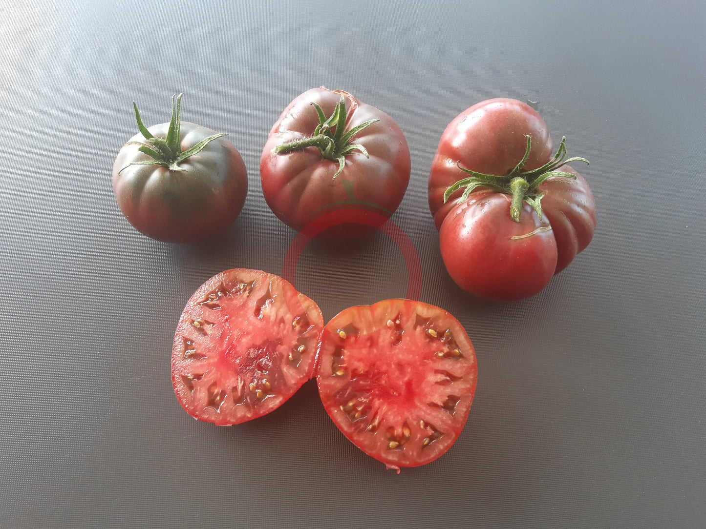 Magali Braun DER TOMATENFLÜSTERER