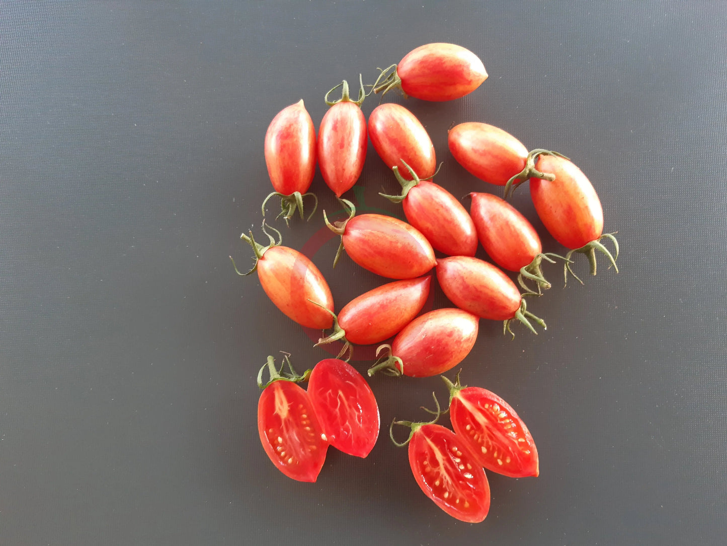 Maglia Rosa DER TOMATENFLÜSTERER