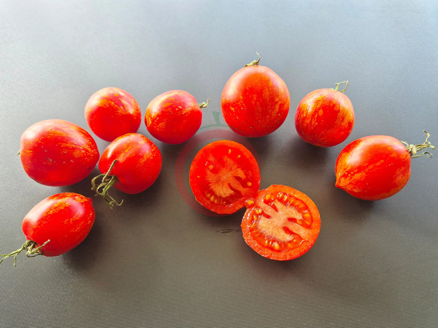 Maria Koller DER TOMATENFLÜSTERER