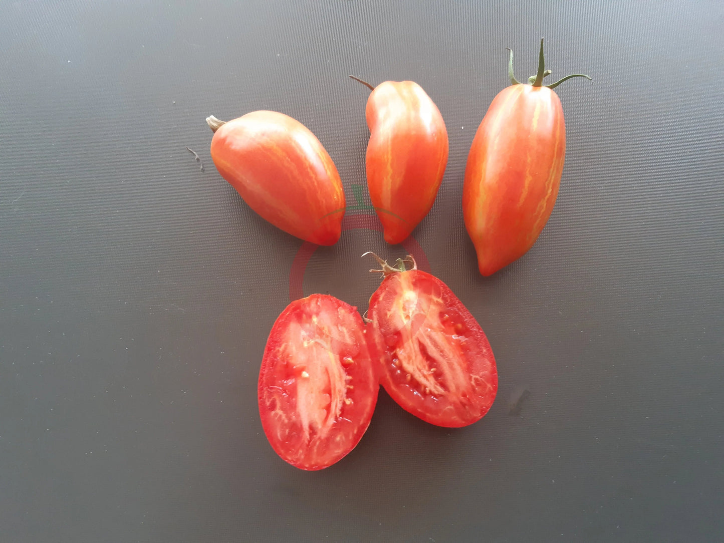 Marzano Fire DER TOMATENFLÜSTERER