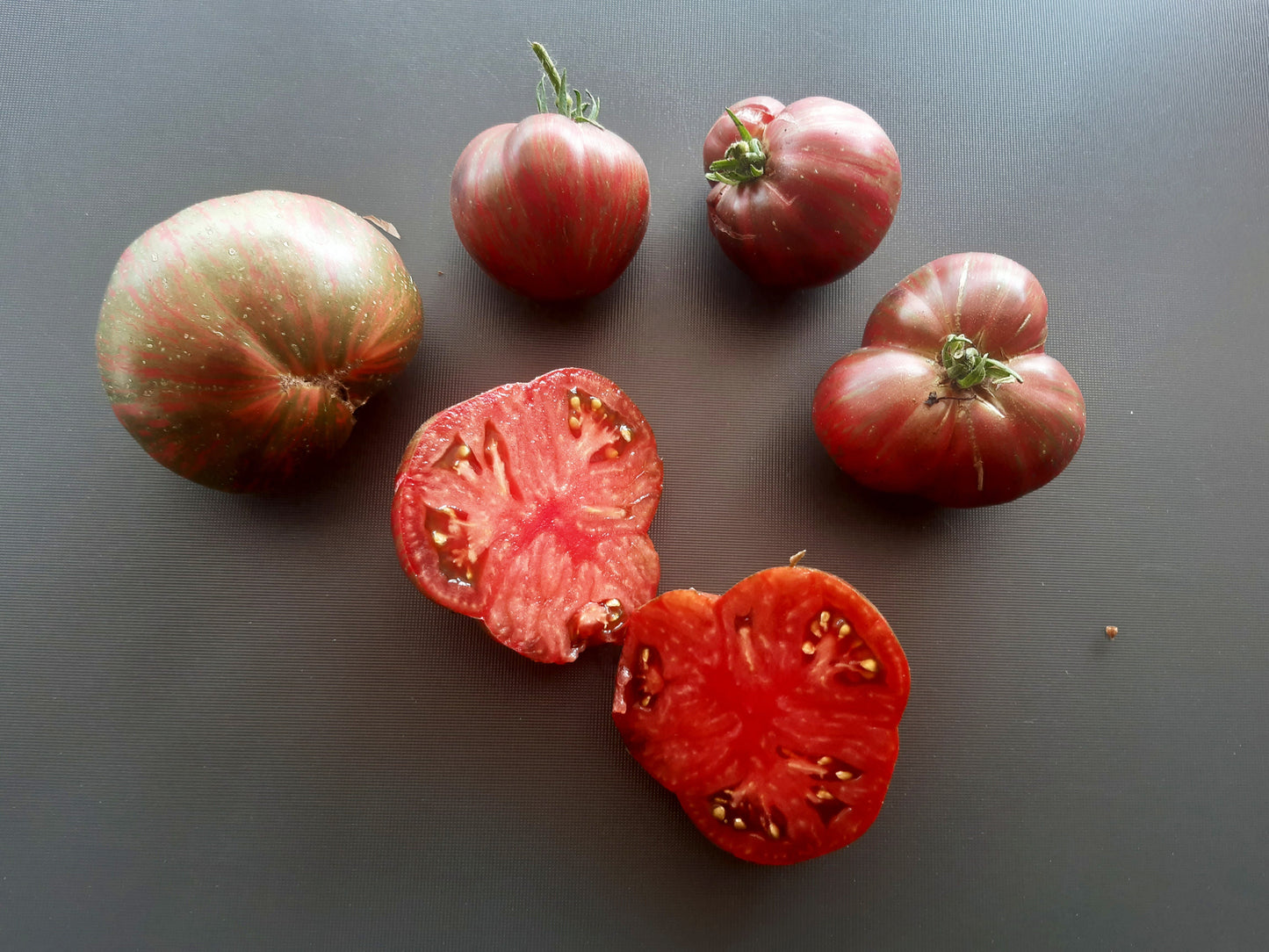 Metallica DER TOMATENFLÜSTERER
