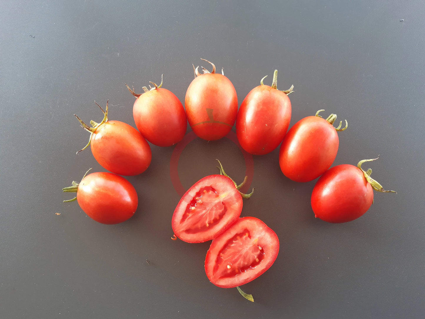 Mom´s Paste DER TOMATENFLÜSTERER