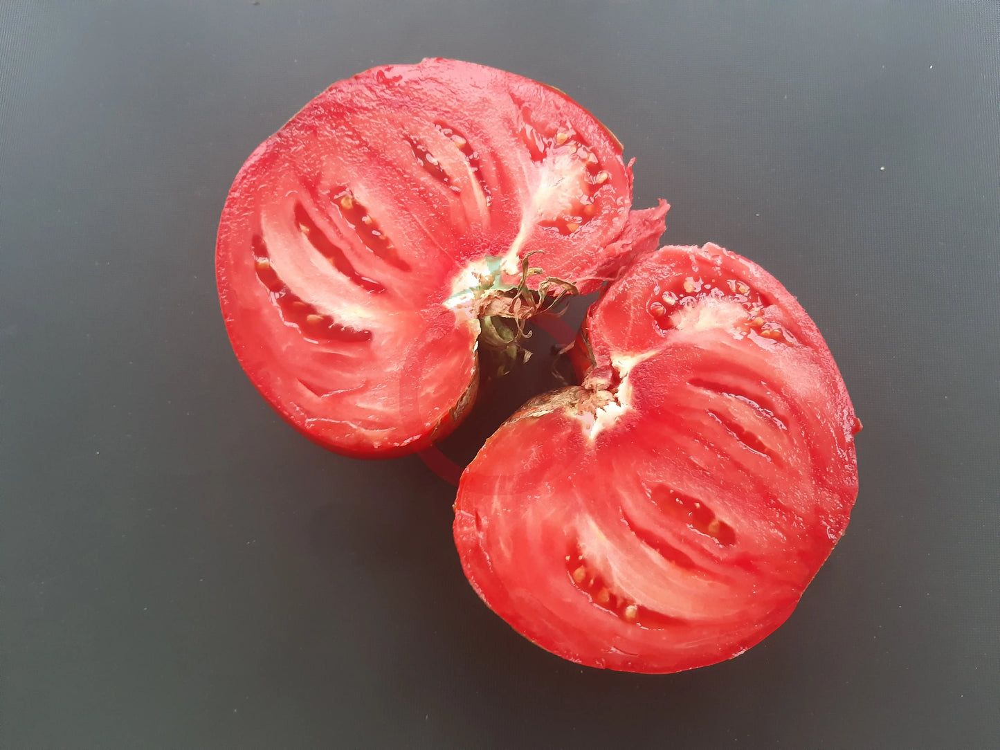 Momini Salzi DER TOMATENFLÜSTERER