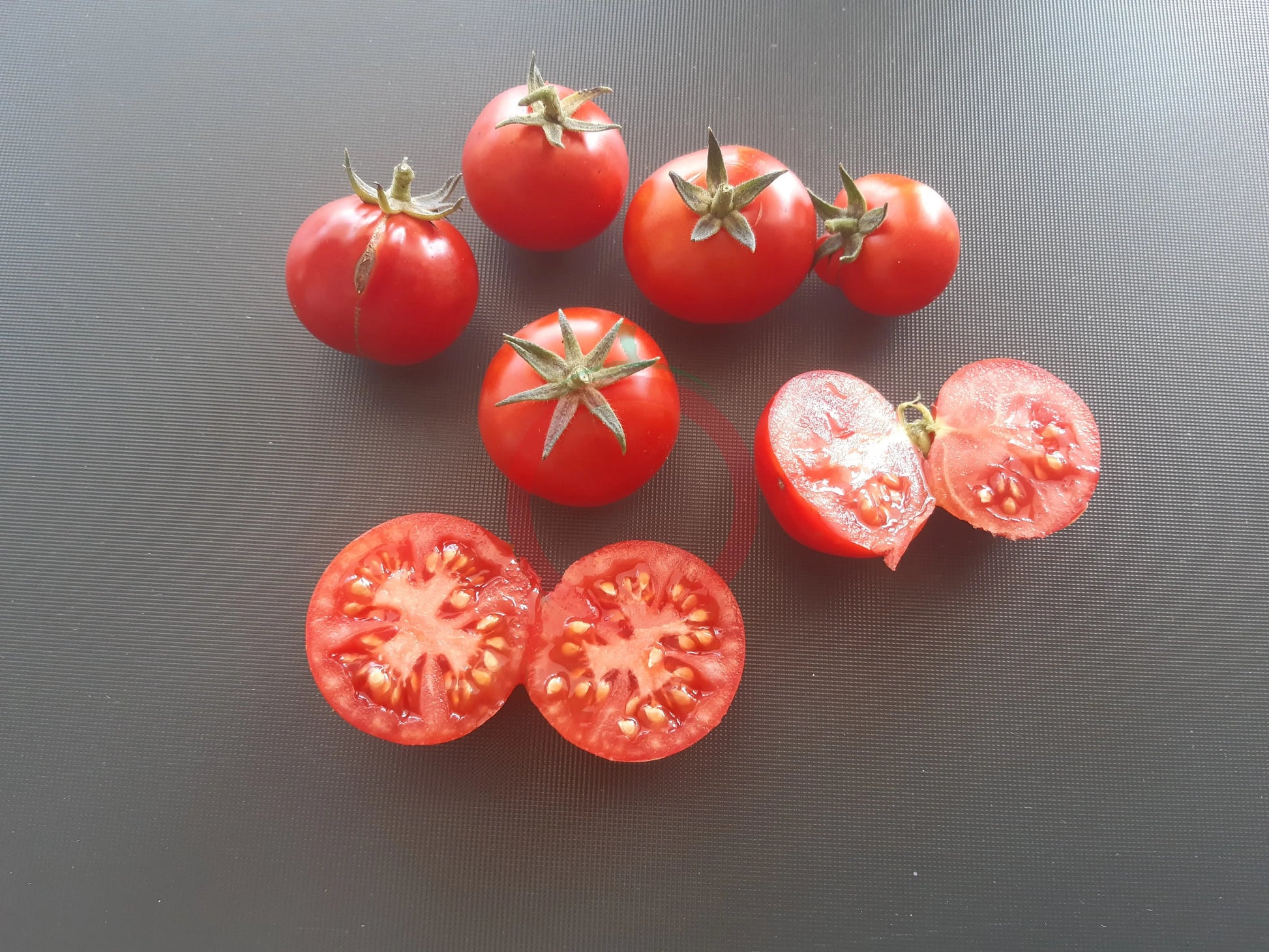 Muchacha DER TOMATENFLÜSTERER