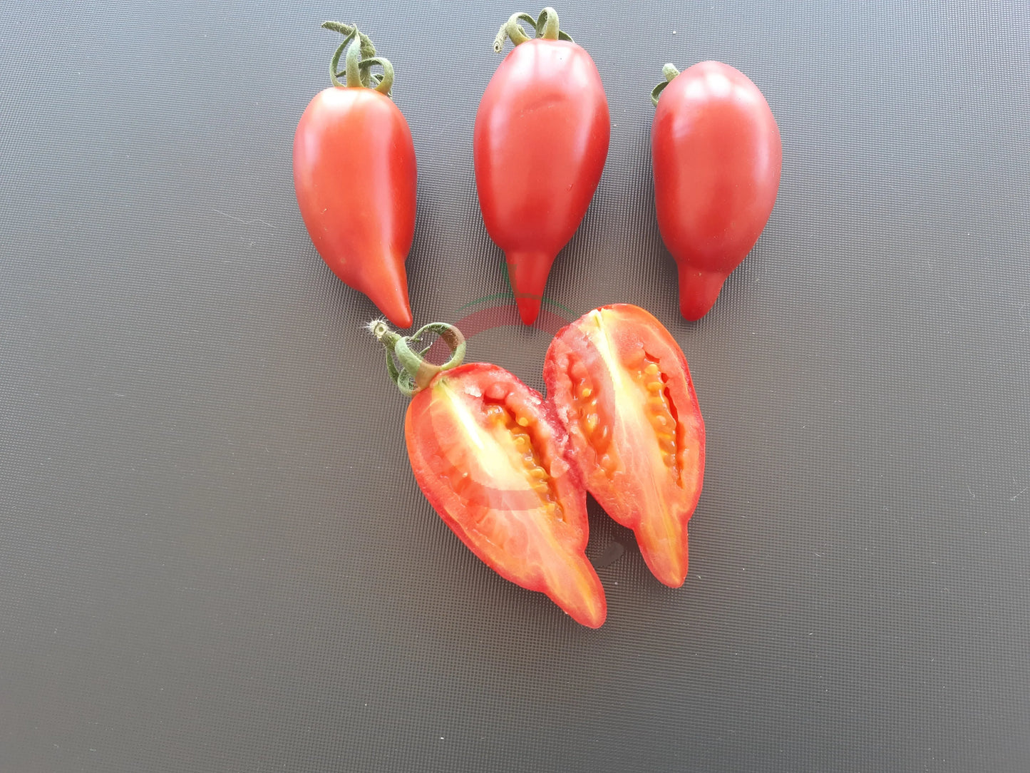 Nadezhda Tarasenko DER TOMATENFLÜSTERER