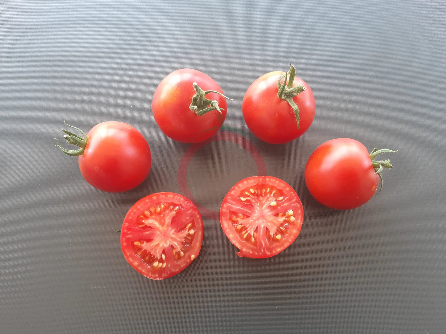 Nadja DER TOMATENFLÜSTERER