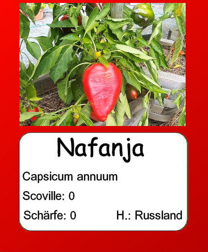 Nafanja DER TOMATENFLÜSTERER