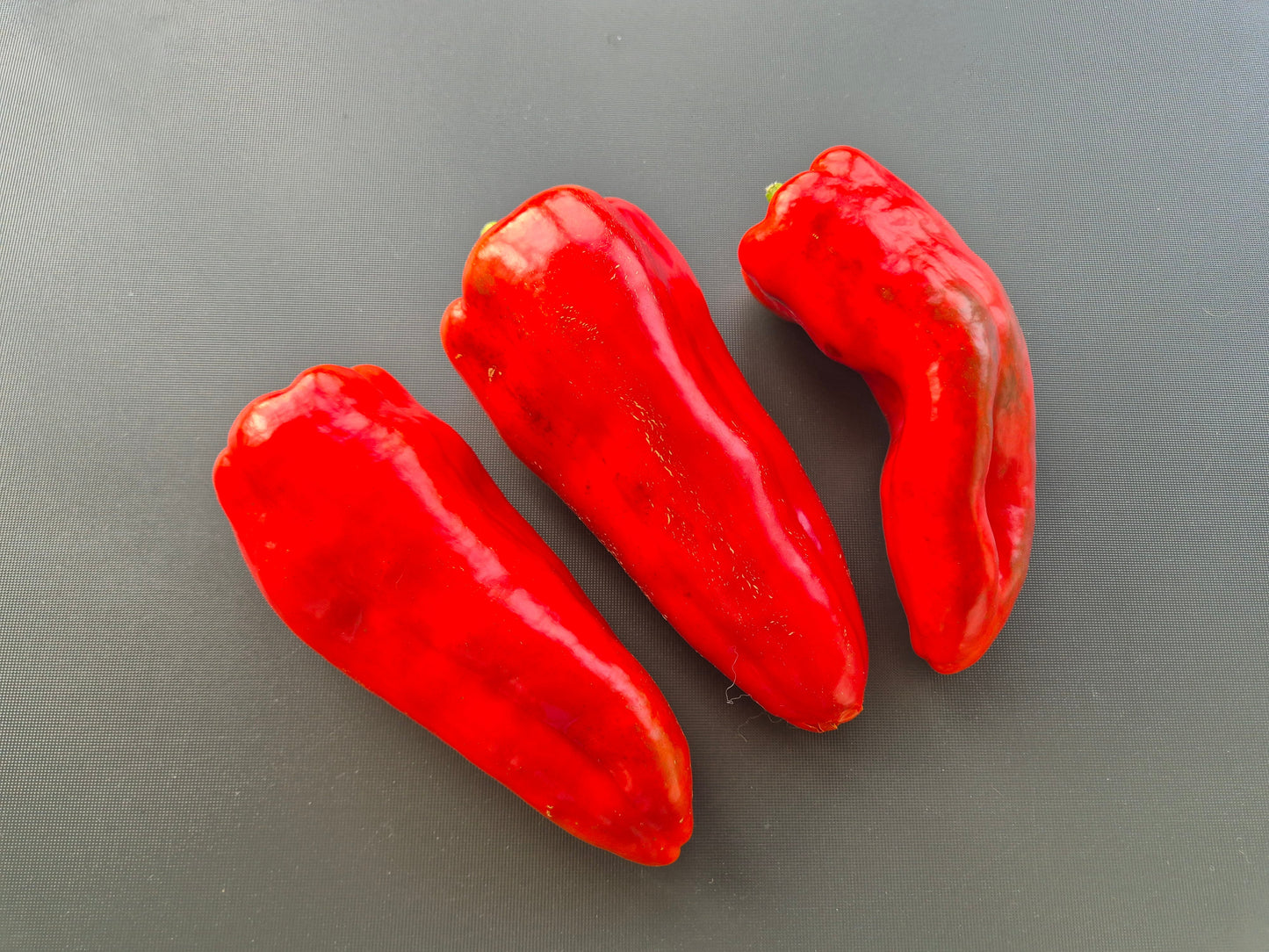 Najerano DER TOMATENFLÜSTERER