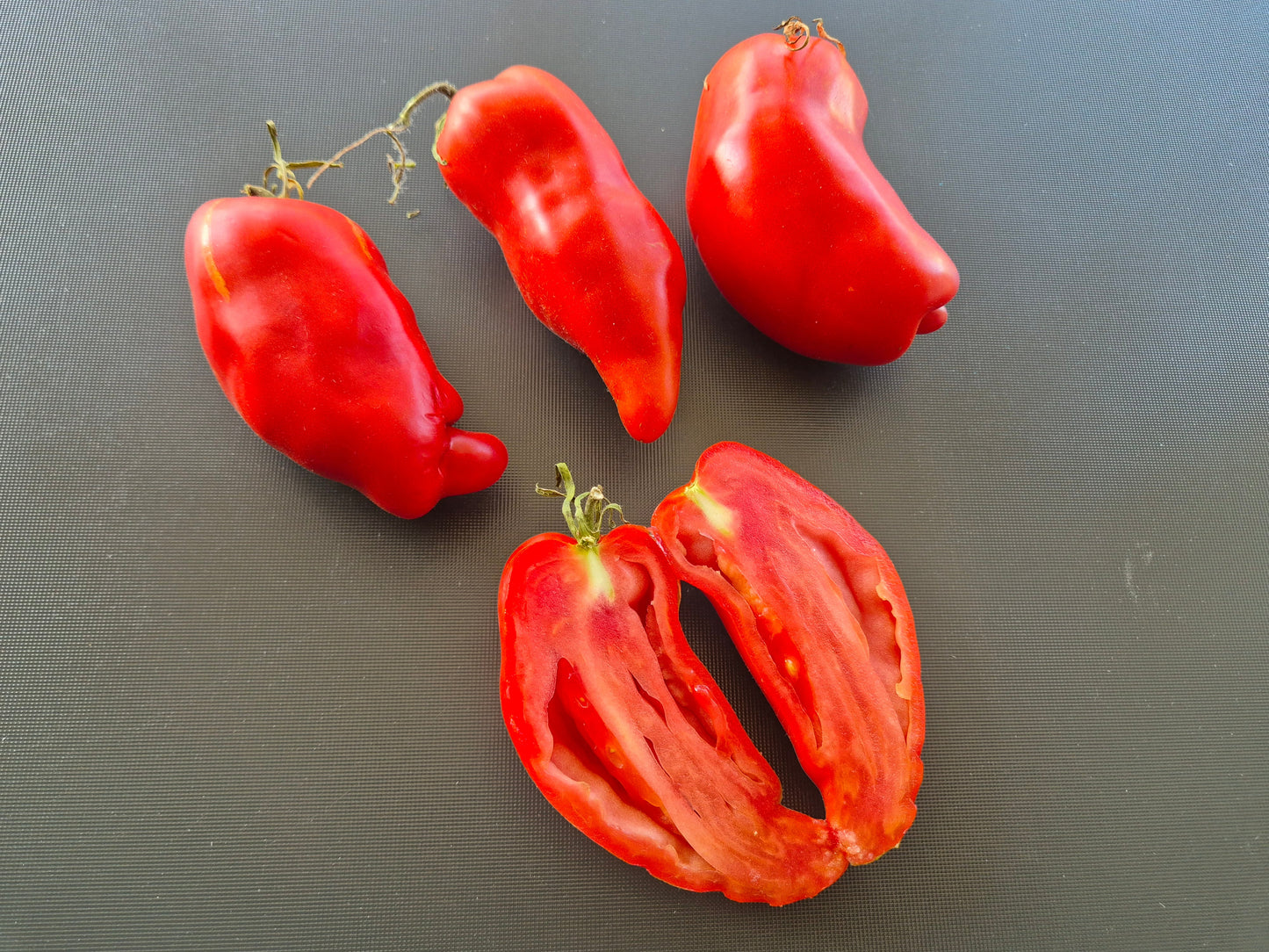 Nariz de Bruja DER TOMATENFLÜSTERER