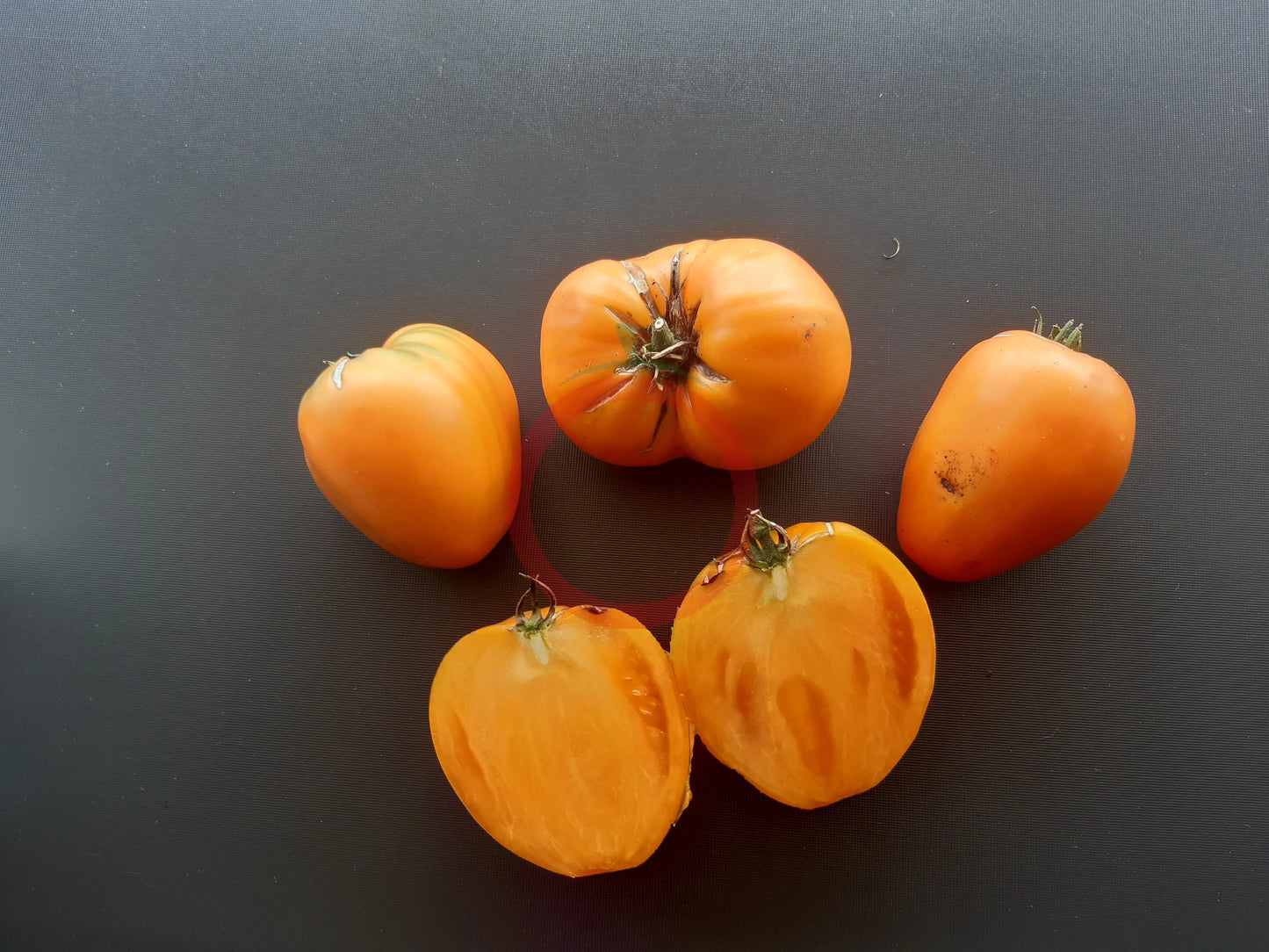 Nizami DER TOMATENFLÜSTERER