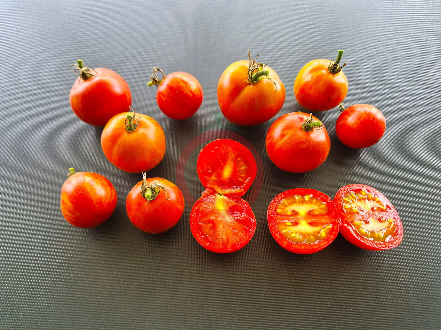 Norwood Meiners DER TOMATENFLÜSTERER