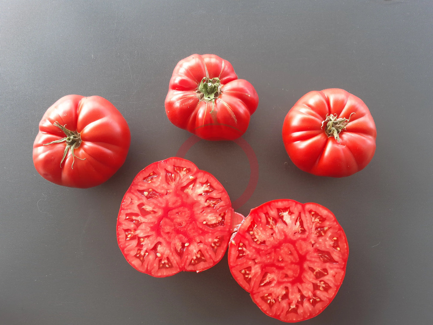 Oncle Remi DER TOMATENFLÜSTERER