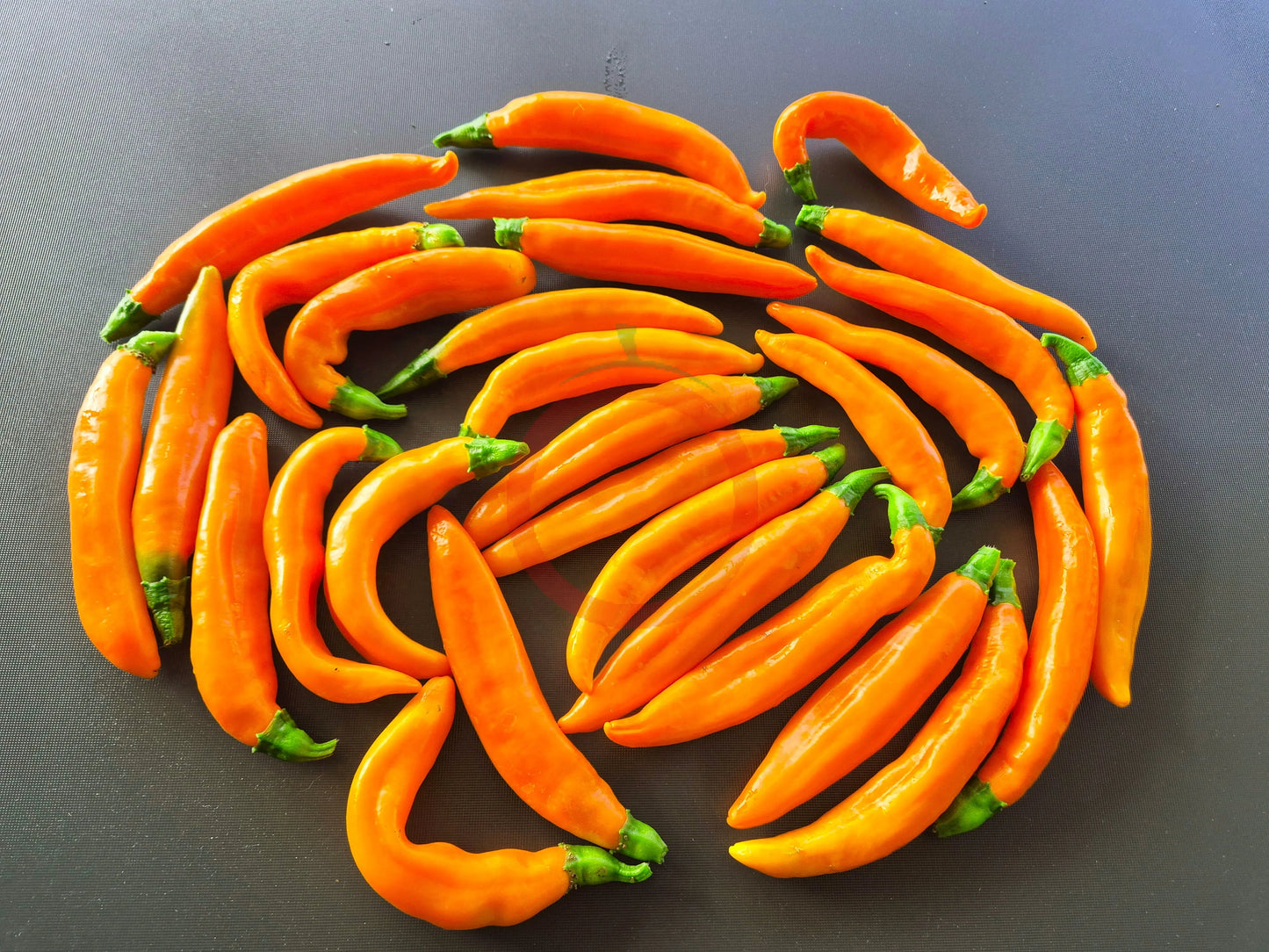 Orange Banane DER TOMATENFLÜSTERER