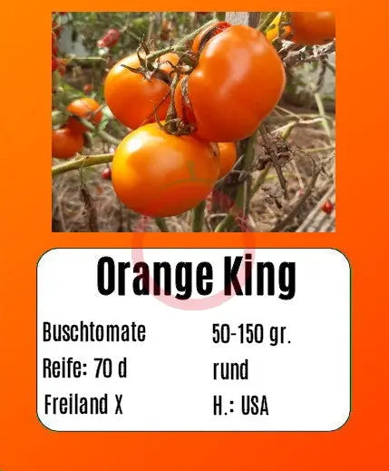 Orange King DER TOMATENFLÜSTERER