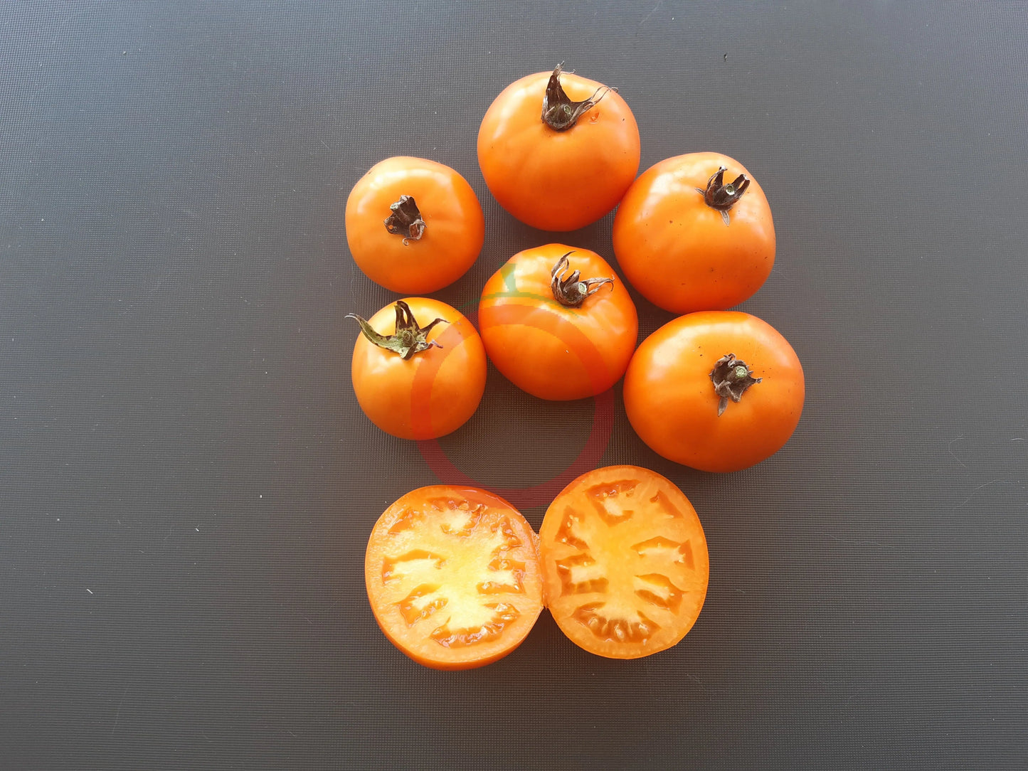 Orange King DER TOMATENFLÜSTERER