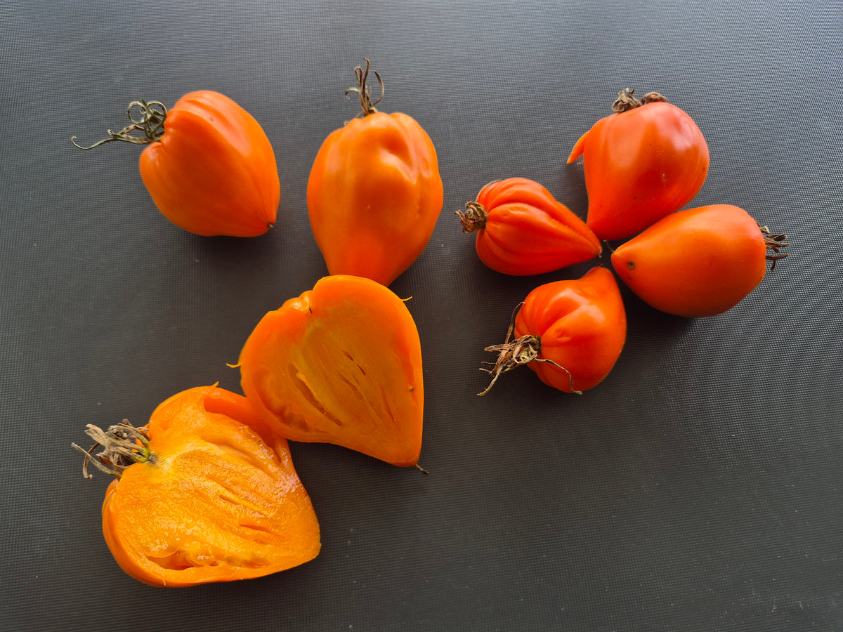 Orange Heart from Angelini