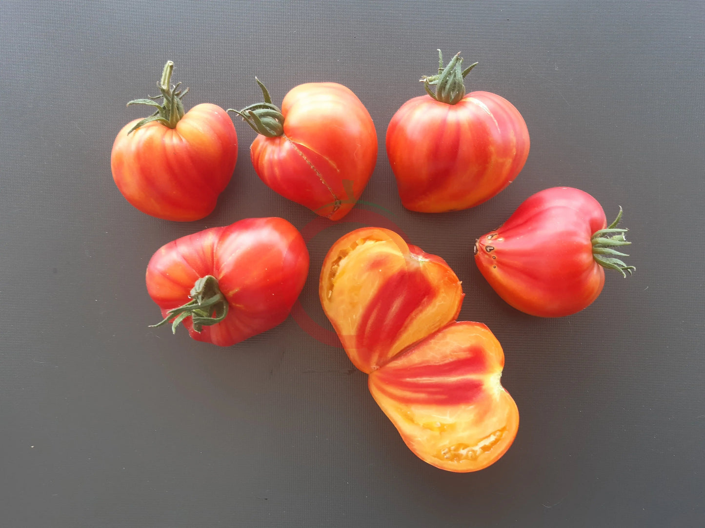 Oranzheviy Slon DER TOMATENFLÜSTERER
