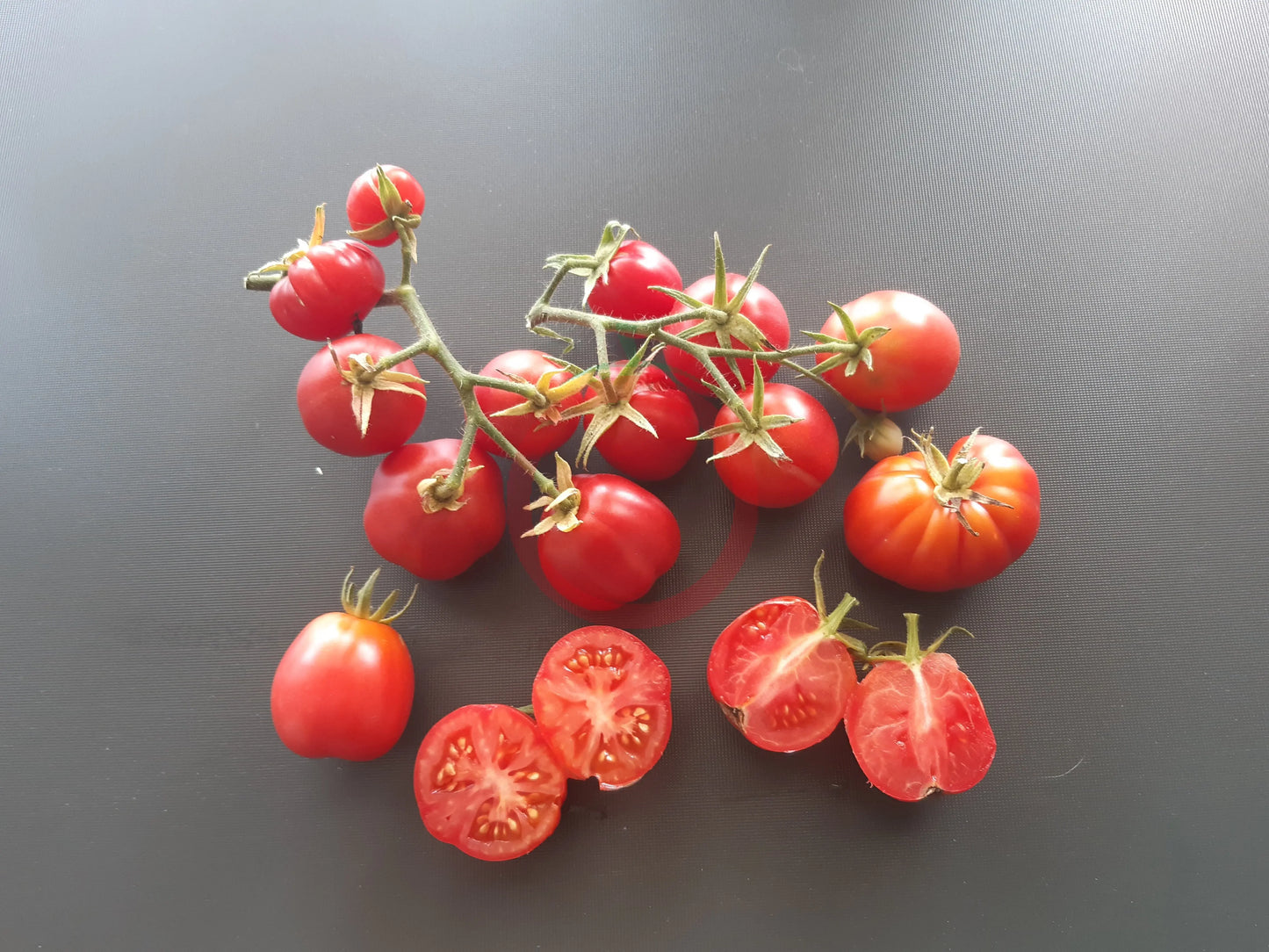 Ovita DER TOMATENFLÜSTERER