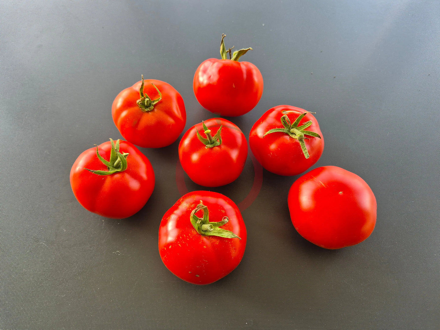 Pantano Romanesco DER TOMATENFLÜSTERER