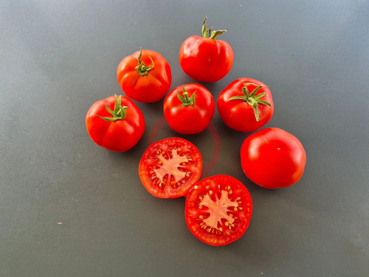 Pantano Romanesco DER TOMATENFLÜSTERER