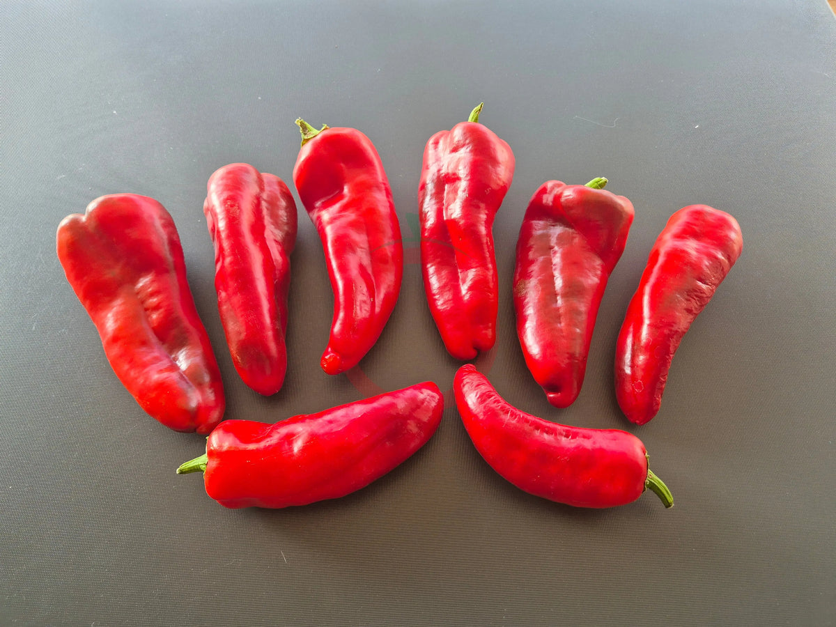 Pantos DER TOMATENFLÜSTERER