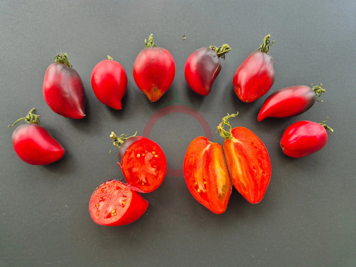 Pascal de Picardie DER TOMATENFLÜSTERER