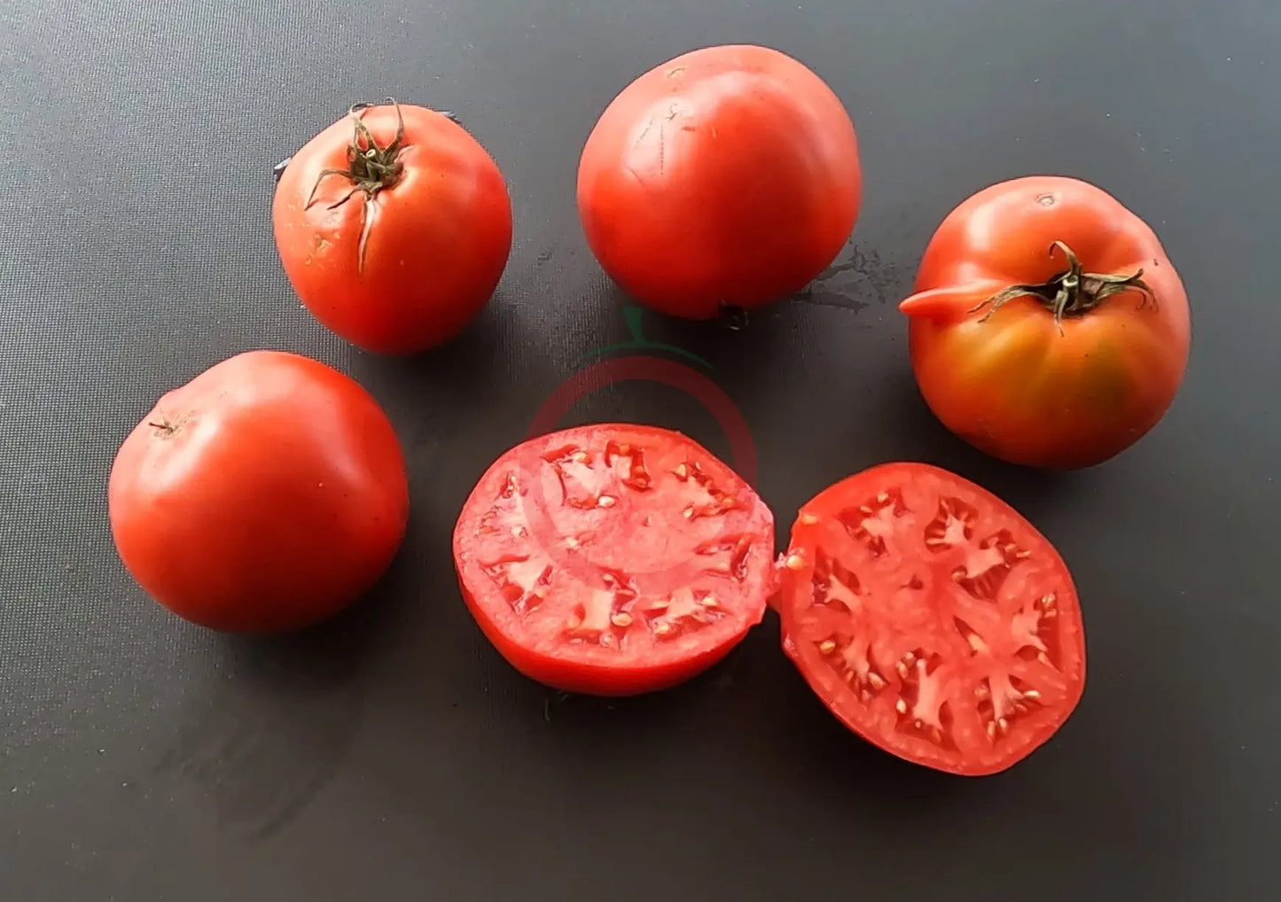 Peron Sprayless DER TOMATENFLÜSTERER