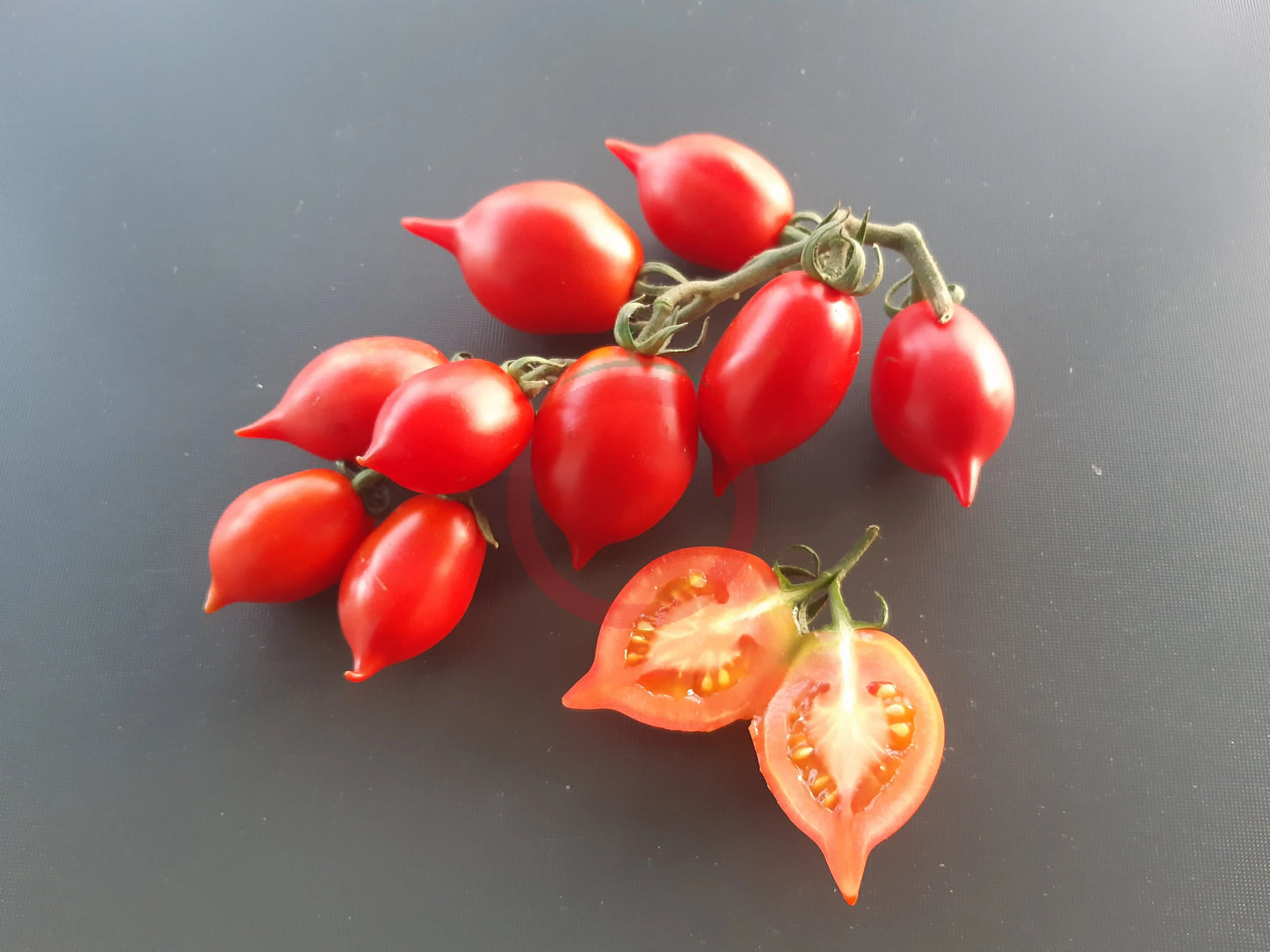Piennolo del Vesuvio rosso DER TOMATENFLÜSTERER